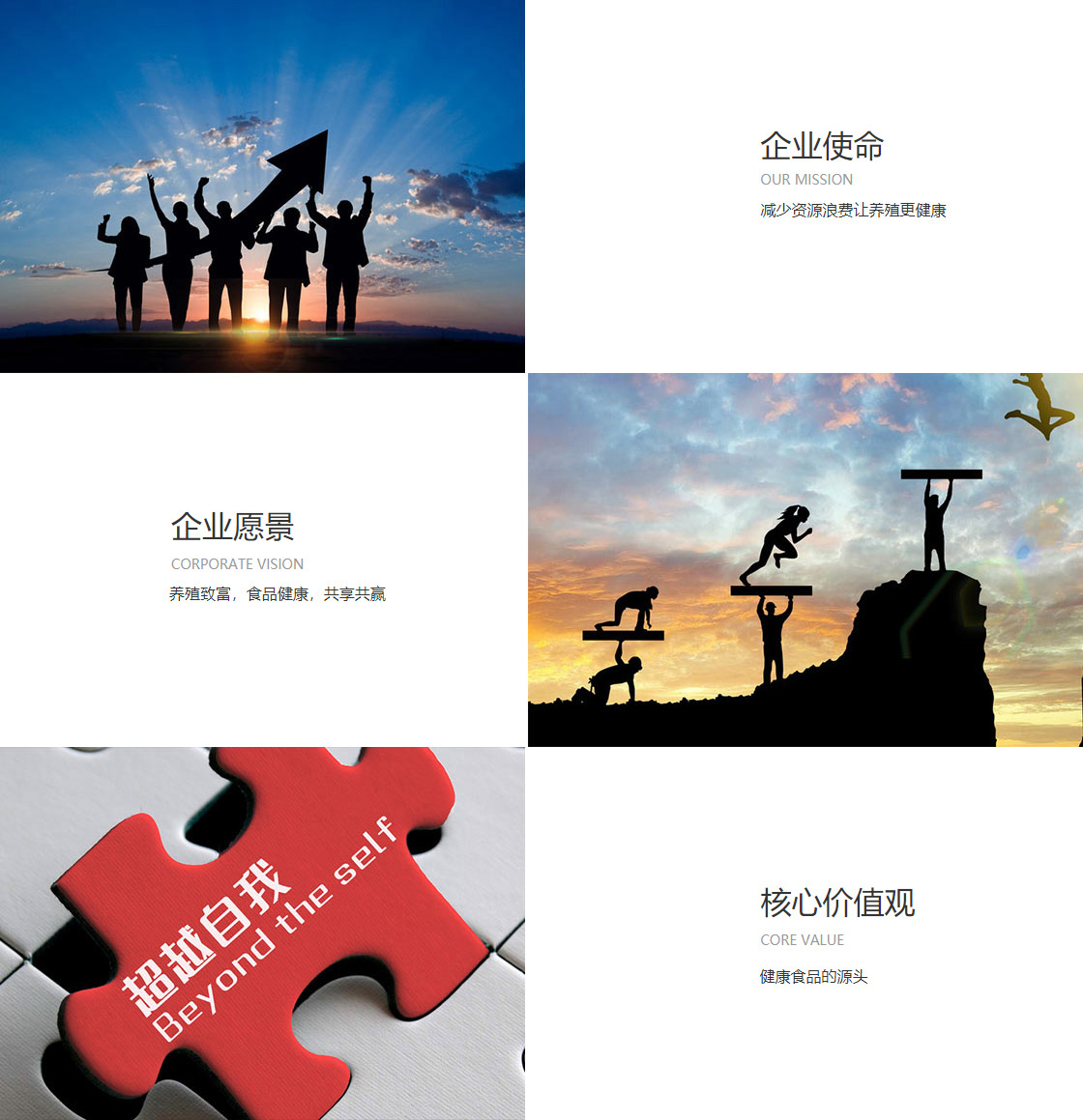 pc网站入口加拿大(图1)
